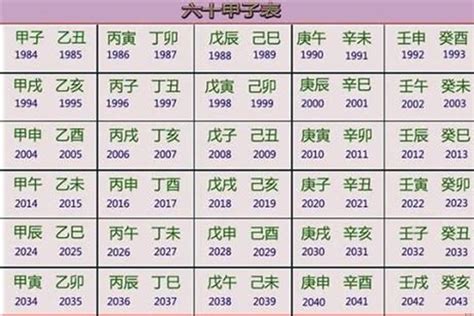 2023 五行|2023年癸卯年是什么命，五行属什么？